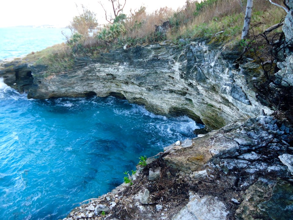 Bermuda (UK) image number 274