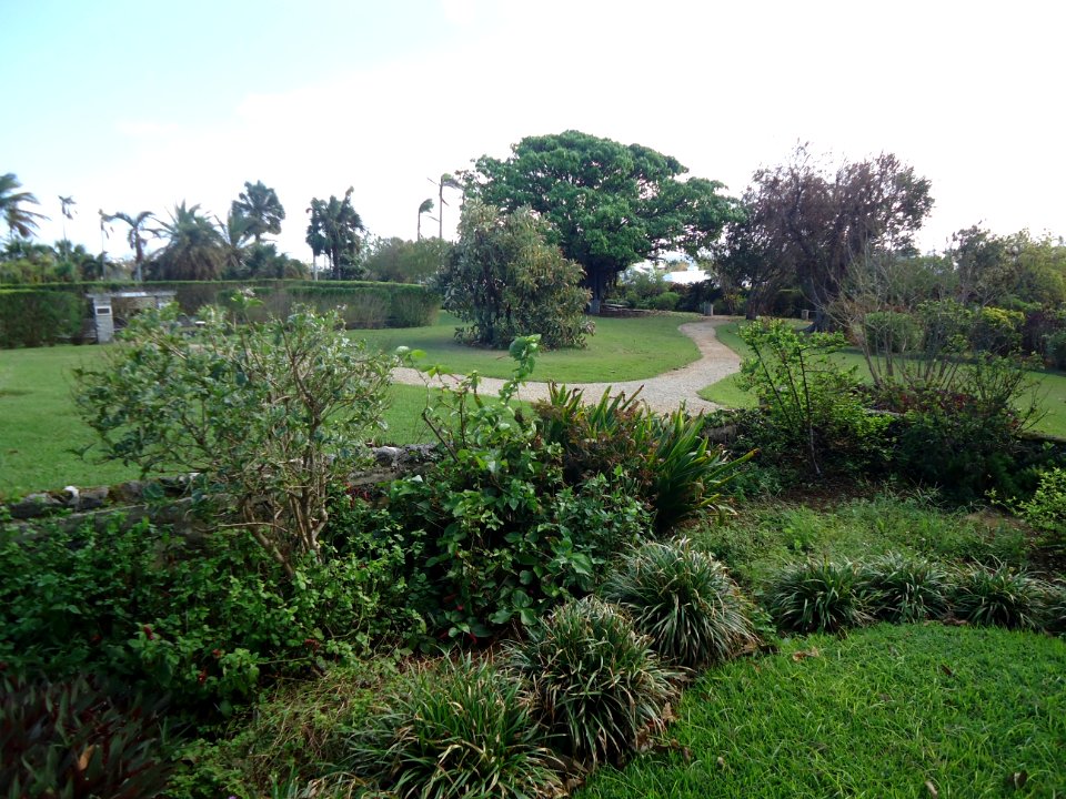 Bermuda (UK) image number 242 grounds of arboretum