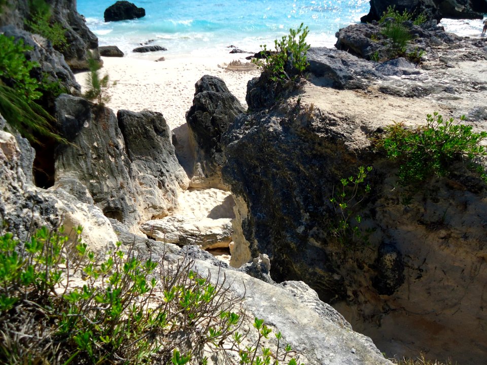 Bermuda (UK) image number 234 foliage sand ocean