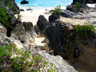 Bermuda (UK) image number 234 foliage sand ocean