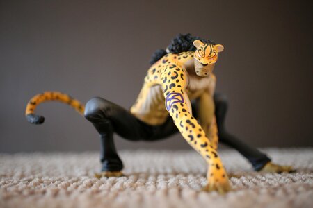 Figure leopard rob lucci