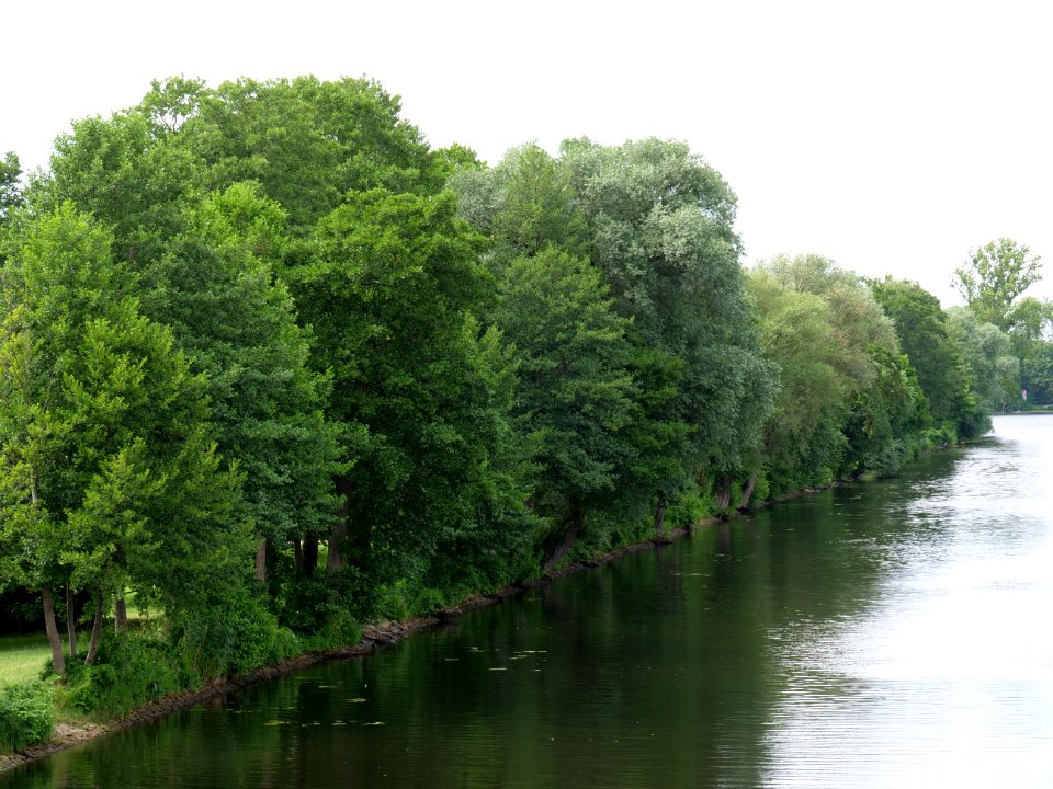 Berlin-Spandauer-Schifffahrtskanal 2019-07-03 11