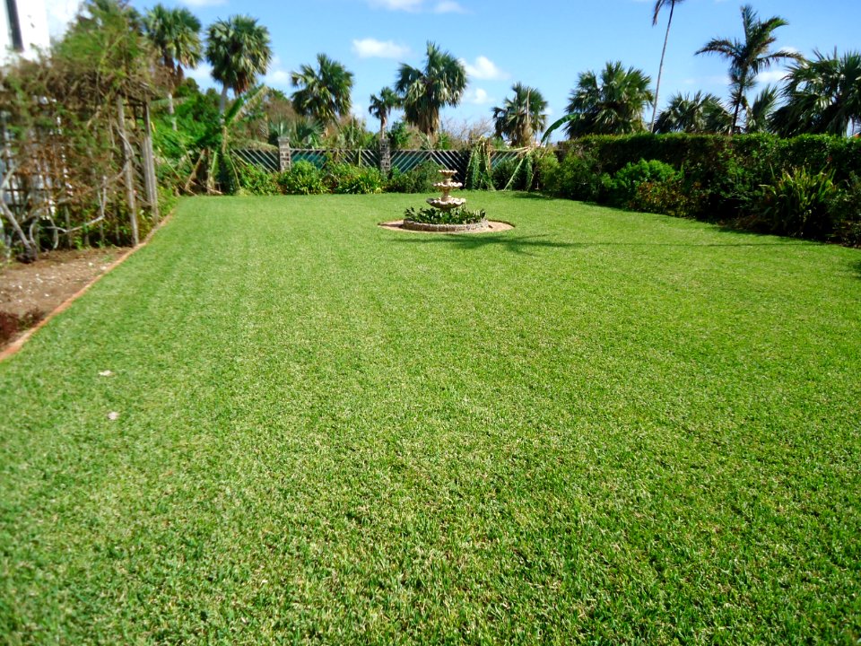Bermuda (UK) image number 264 field