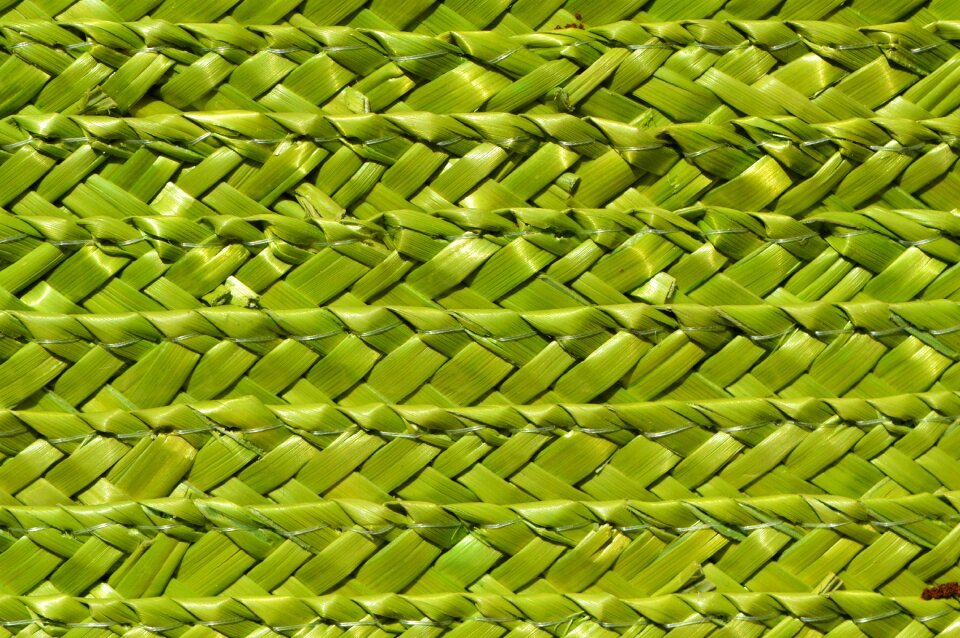 Wicker background wattle