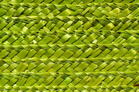 Wicker background wattle