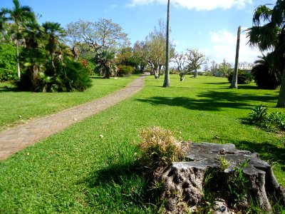 Bermuda (UK) image number 244 pathway and grass Botanical gardens photo