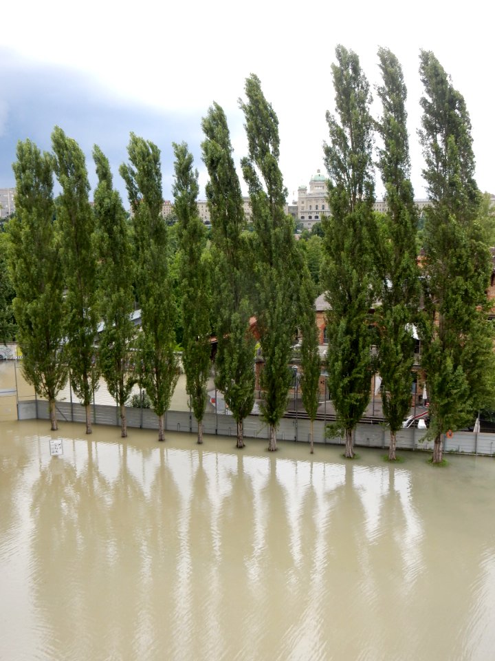 Bern Hochwasser Juli 2021 07