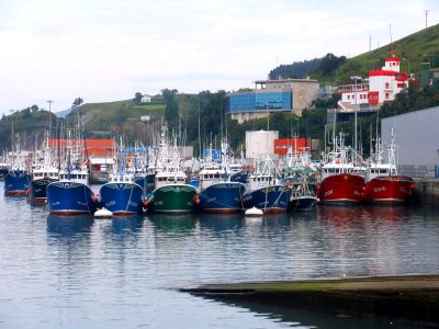 Bermeo - Puerto 02