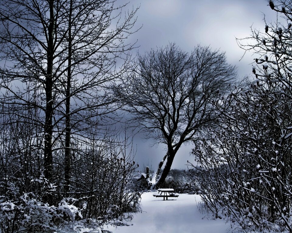 Winter scenery snowy bench dark sky
