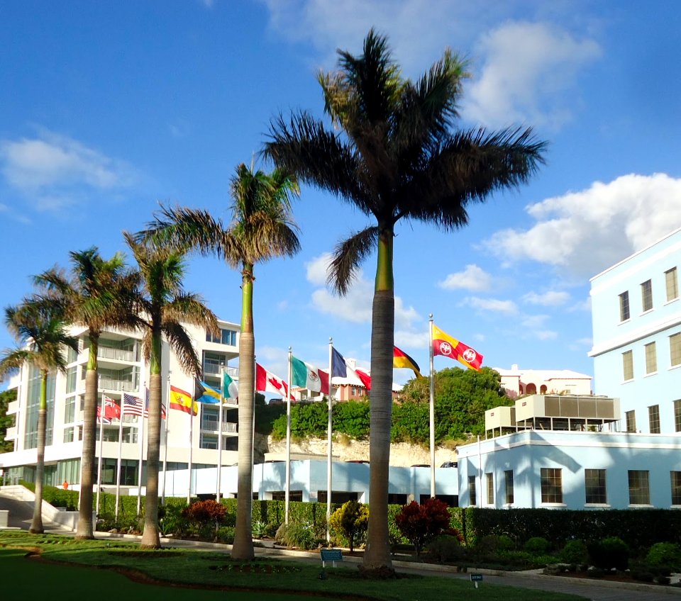 Bermuda (UK) image number 288 view of office buildings photo