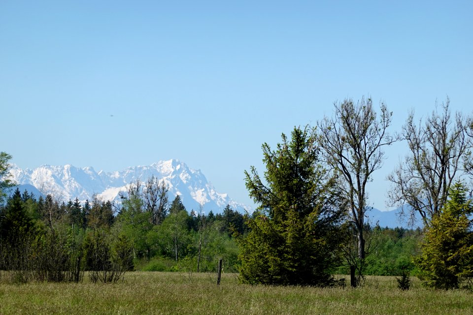 Bergblick Euracher Filz