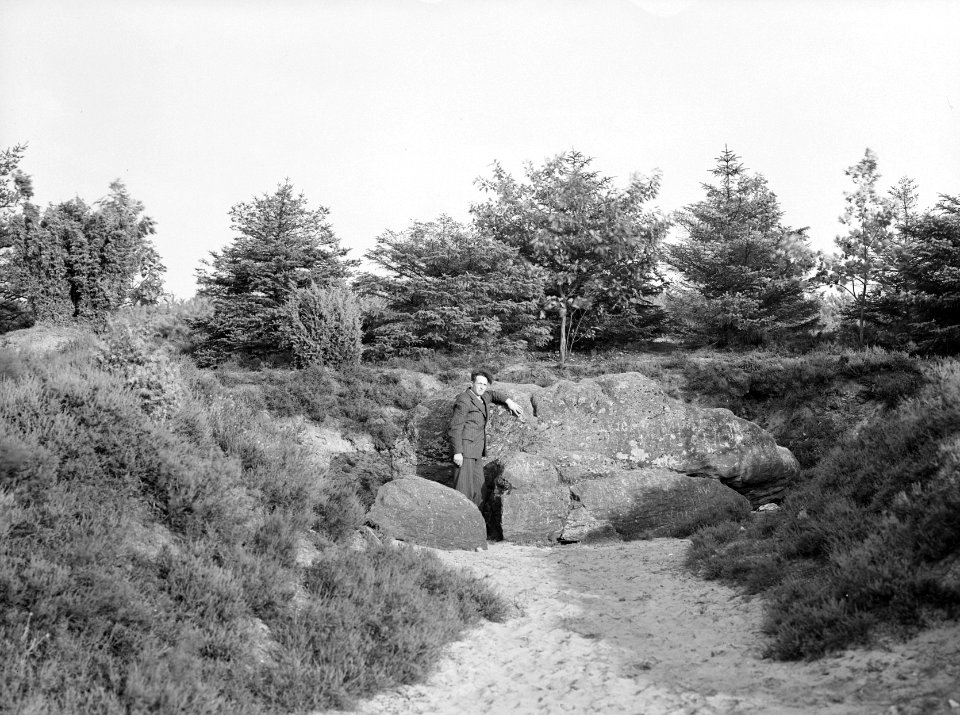 Bergen, parken, lemelerberg, de grote steen, Bestanddeelnr 192-0507