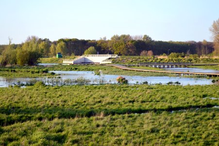 Bergenmeersen 2