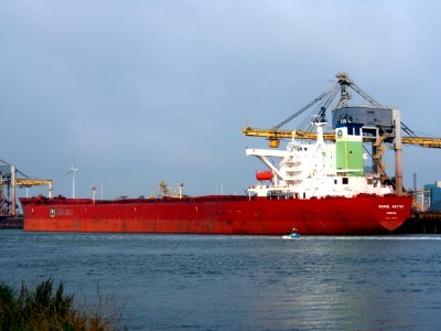 Berge Arctic - IMO 9221906