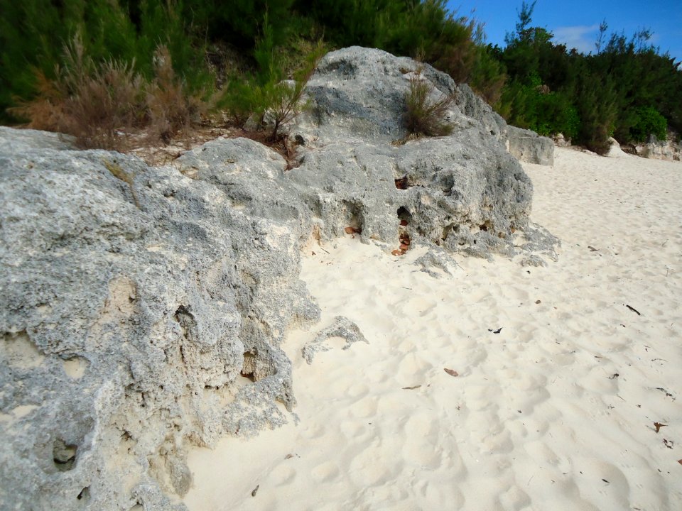 Bermuda (UK) Number 172 beach view