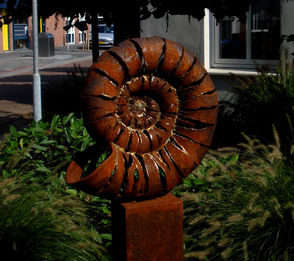 Bergen op zoom kunstwerk ammoniet