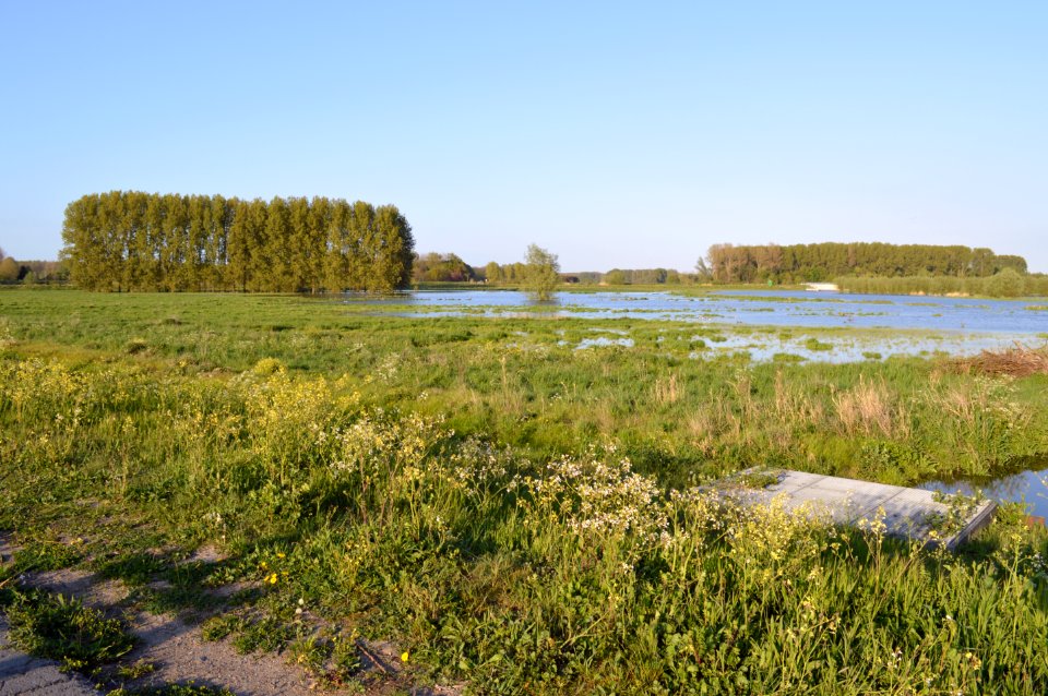 Bergenmeersen 1