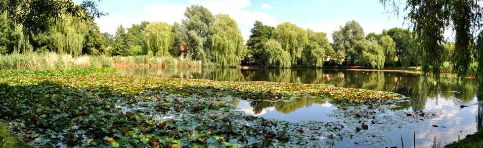 Berlin-Lichtenrade Panorama Dorfteich