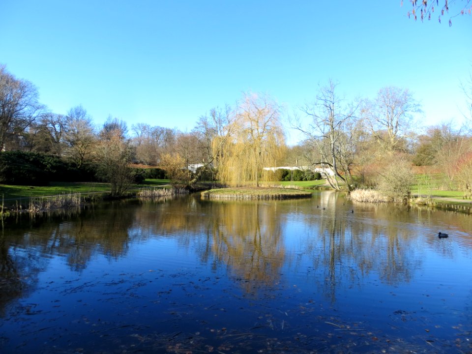 Bernstorff-slotshave-lake-island