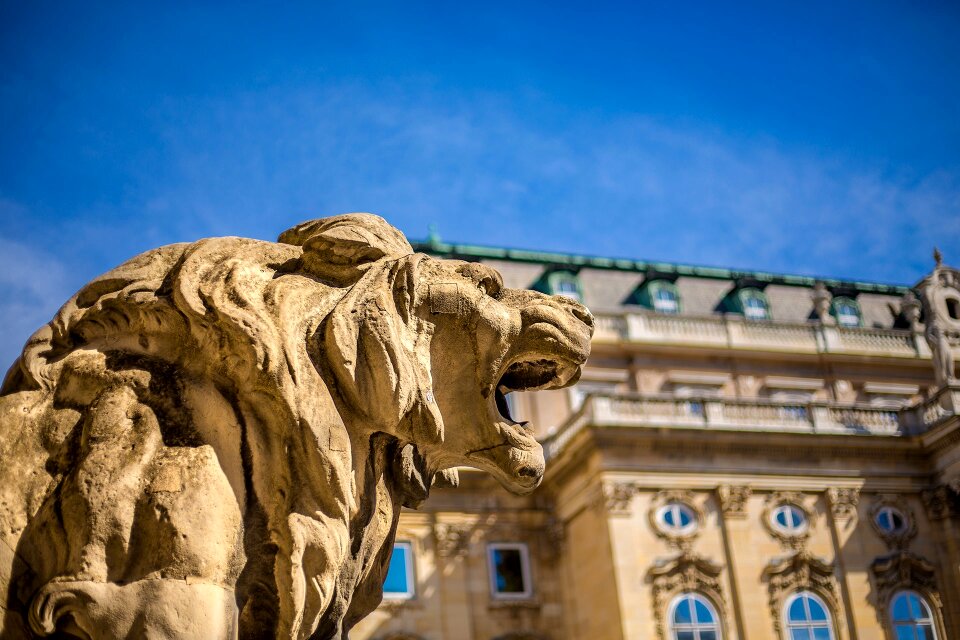 Castle statue lion