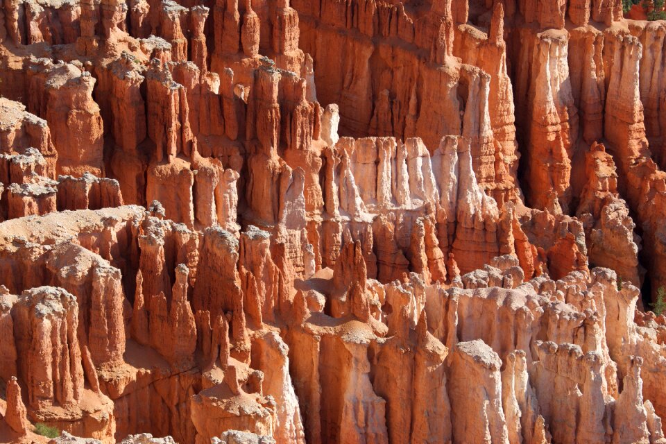 Nature panorama national park