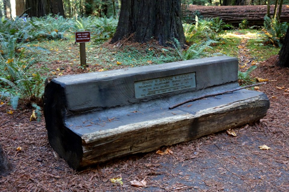 Bernard Baruch memorial - Humboldt Redwoods State Park - DSC02480