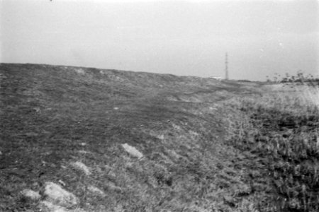 Beste gedeelte ten noorden van de Linge, Bestanddeelnr 170-1153