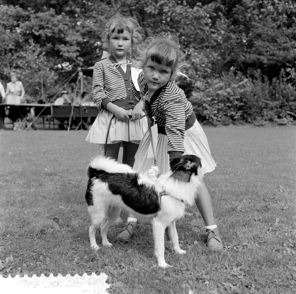 Best verzorgde hond van Rotterdam door kinderen, winnaar Ferry Puten, Bestanddeelnr 908-8537