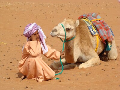 Nature sand camel-driver photo