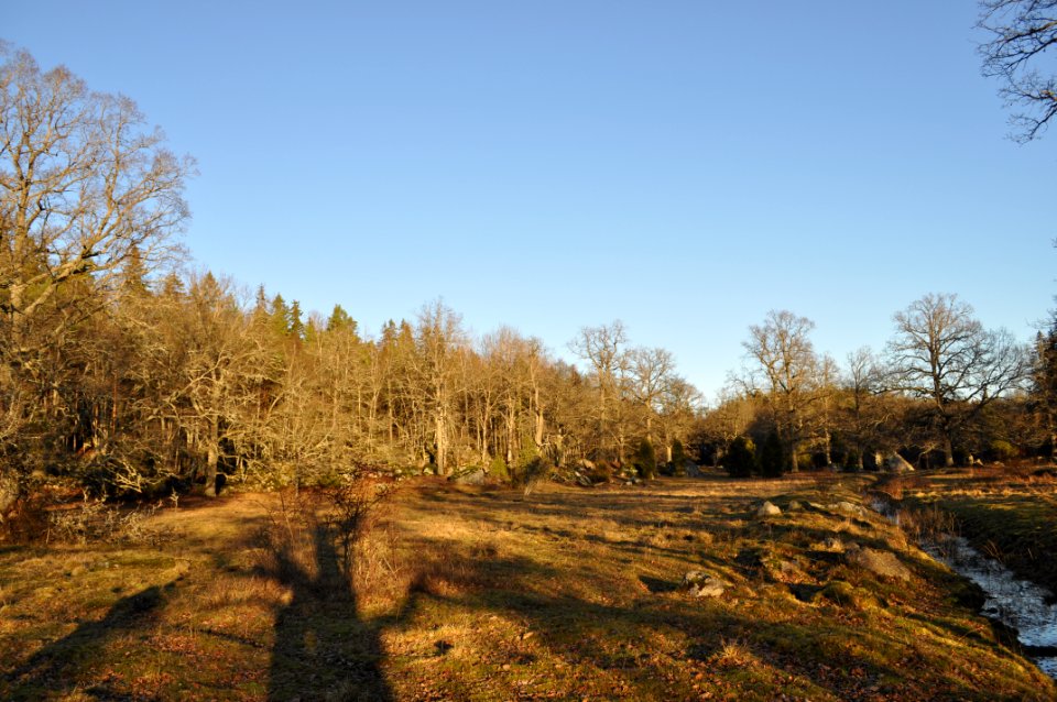 Betesmark - Stenhammar naturreservat 2