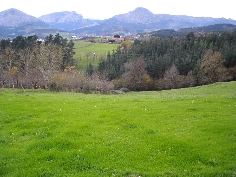 Berriz - barrio de Andikoa 5