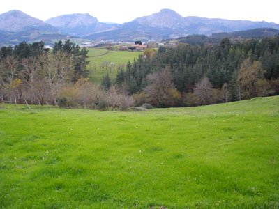 Berriz - barrio de Andikoa 5