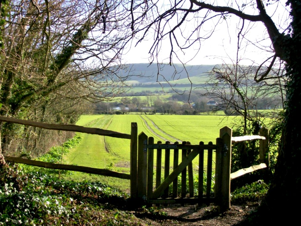 Berwick, E. Sussex- churchyard gate
