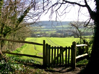 Berwick, E. Sussex- churchyard gate