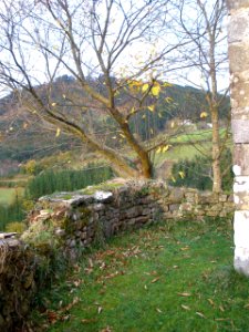 Berriz - Santuario de Andikoa 11