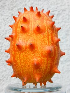 Kiwano tropical prickly