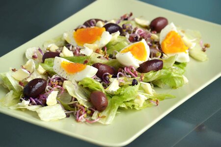 Olive oil egg protein
