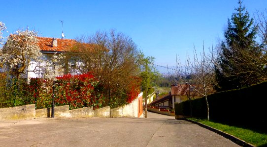 Berrostegieta 14