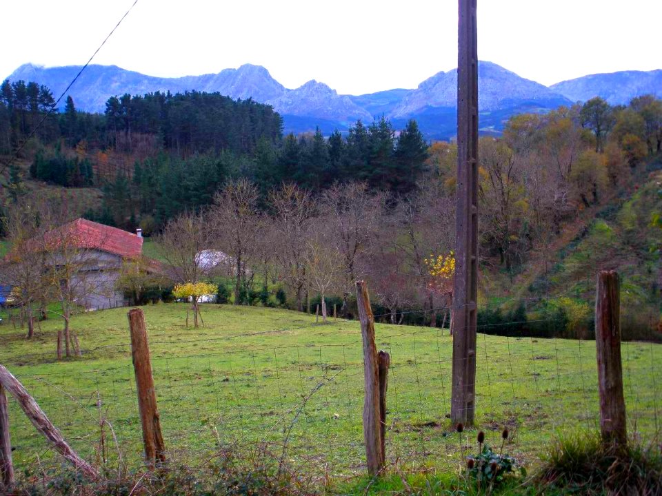 Berriz - barrio de Andikoa 3