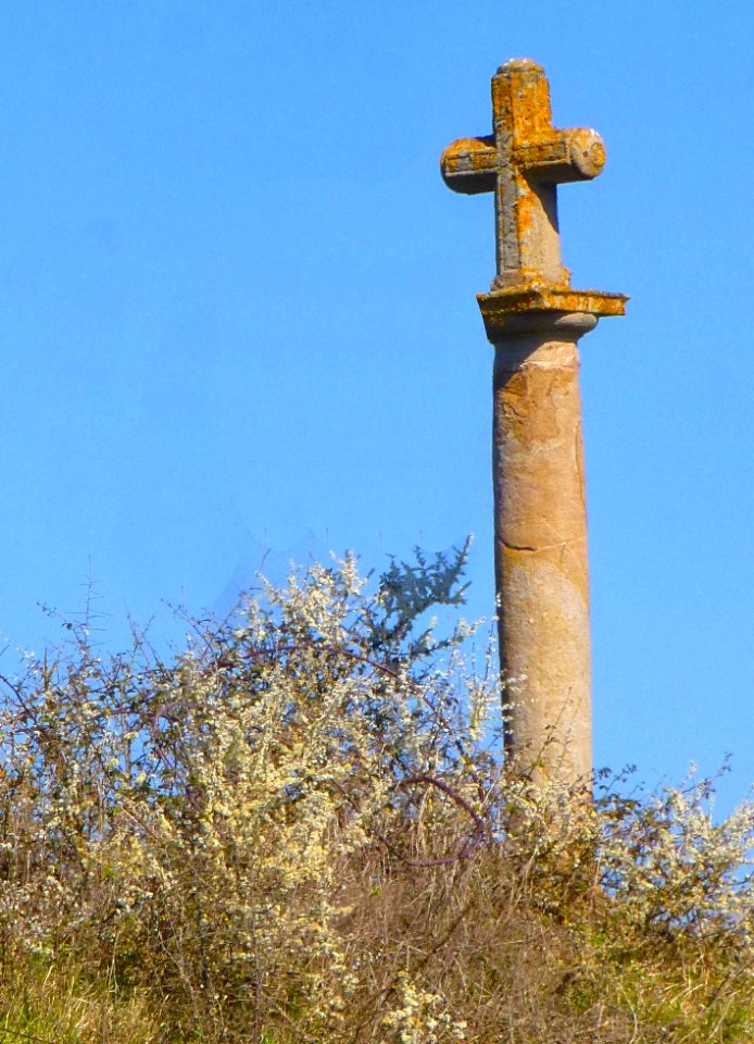 Berrostegieta 24