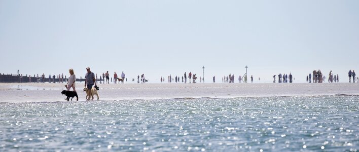 Sea sand spit dog walkers