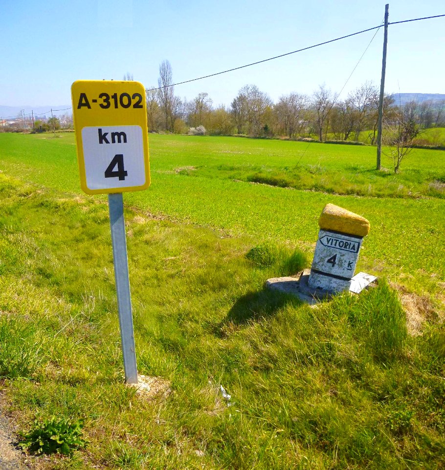 Berrostegieta 28