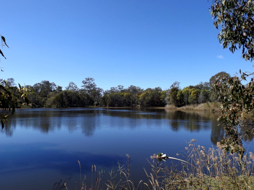 Berrinba Wetlands Marsden