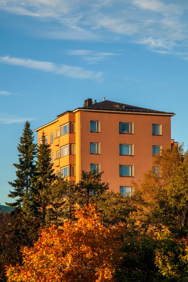 Autumn street building