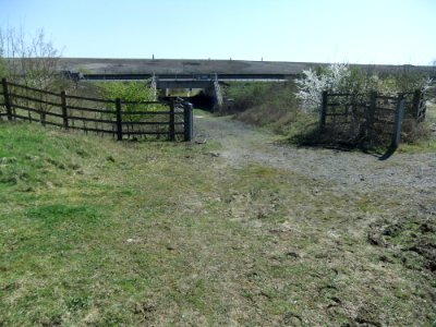 BerryWoodUnderpass