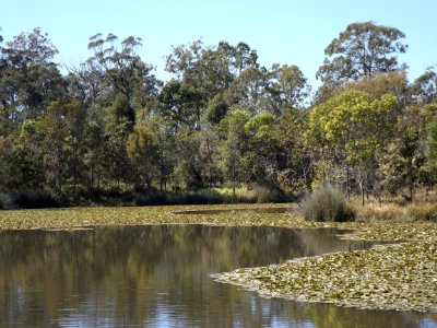 Berrinba Wetlands lake 3