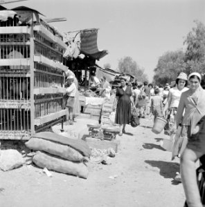 Bersjeba. Markt met o.m. hokken met levend pluimvee en op de grond zakken met aa, Bestanddeelnr 255-3533