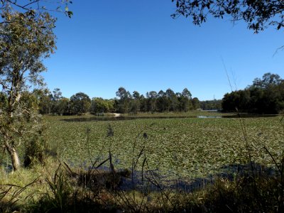 Berrinba Wetlands lake 2