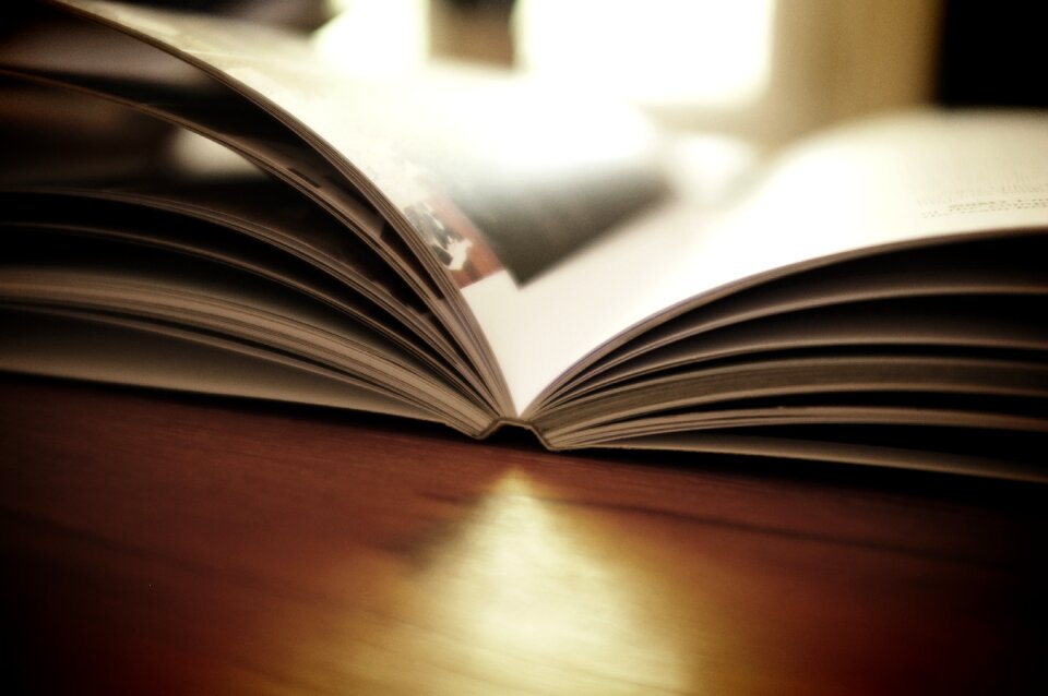 Pages textbook brown book