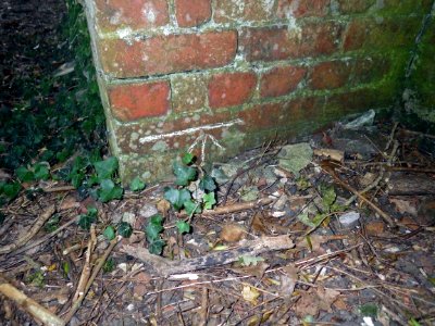 Benchmark, railway bridge, Combe Wood, Bexhill
